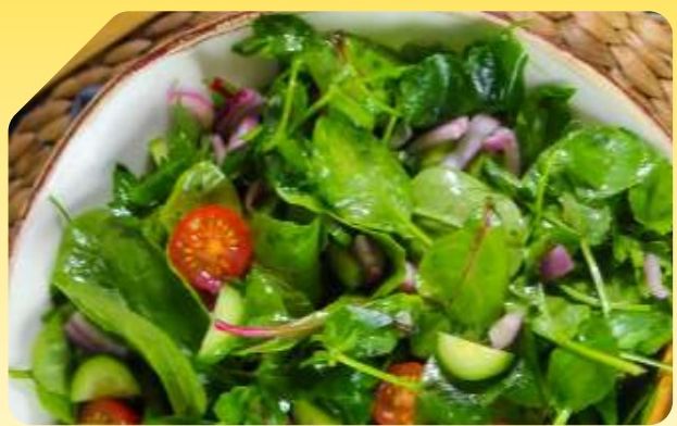 Salad & Raitha